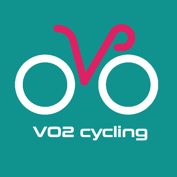 تیم نویسندگان vo2